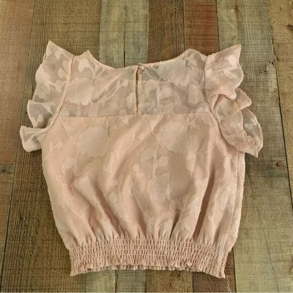 Cupcakes & Cashmere women's size x-small Cropped floral embroidered top - Picture 3 of 6